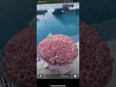 سناب الهنو ملكه يوشا