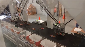 Delta Robot High Speed Seed Packing 2