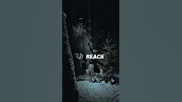 "The Strength Within: Mastering the Art of Perseverance!"    #motivation #shorts #viralshort