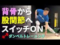【背骨】本来持ってるカラダの「しなり」を取り戻す。趣味のスポーツにつなげるトレーニング