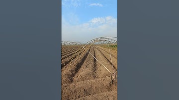 Thumbnail of Bamboo structure for walk in tunnal