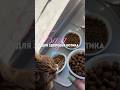 БАЗА для здоровья котика🐈