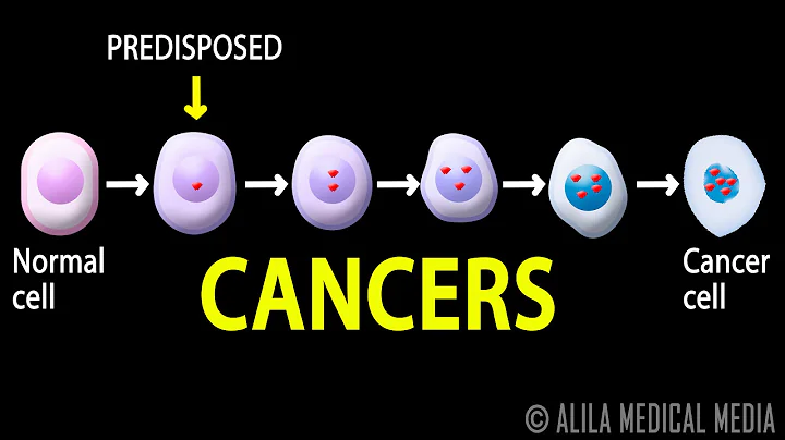 Cancer, How Cancer Starts, How Cancer Spreads, Where and Why, Animation. - DayDayNews