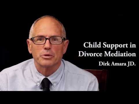 Child Support in Divorce Mediation with Dirk Amara JD