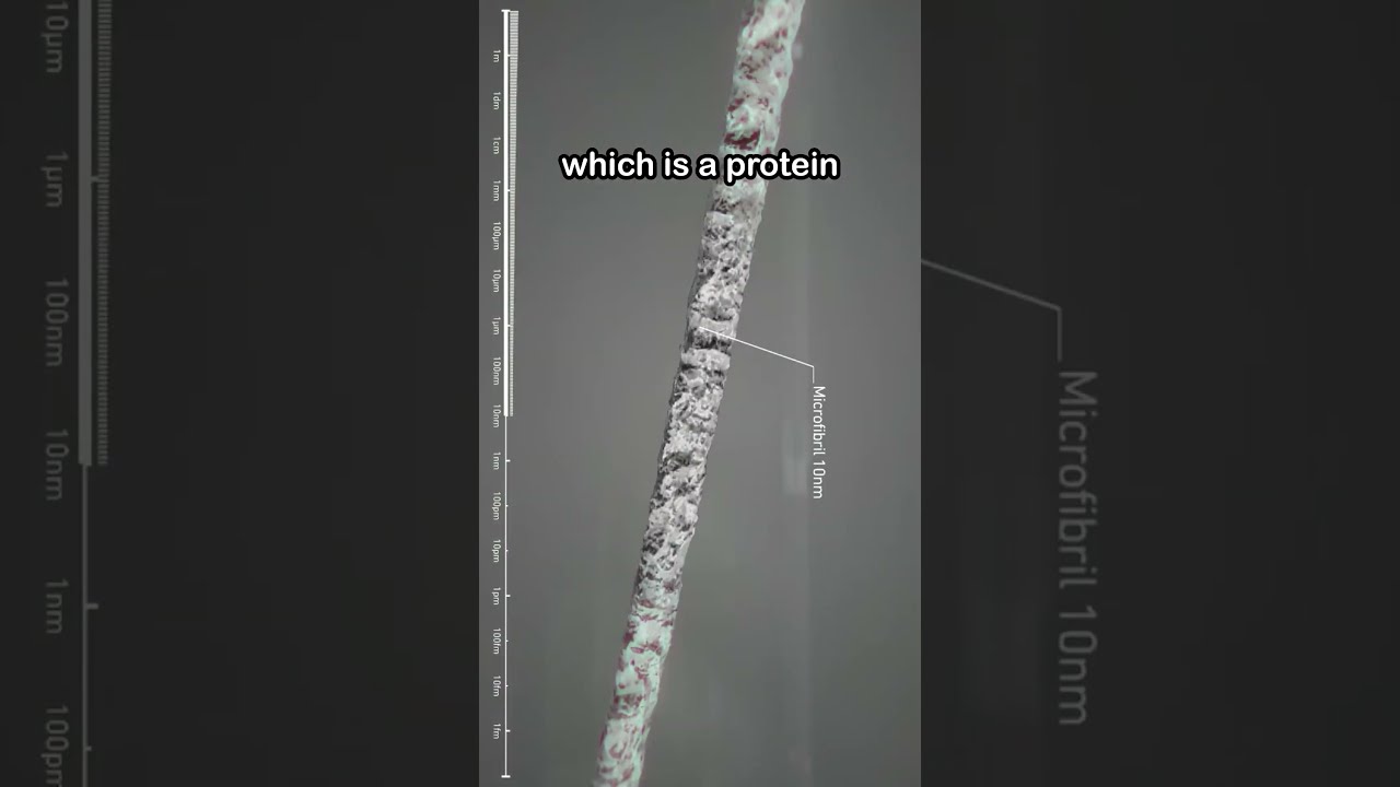 The Scale Of An Atom