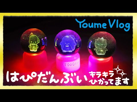 【はぴだんぶい】キラキラひかって すてきだった😳
