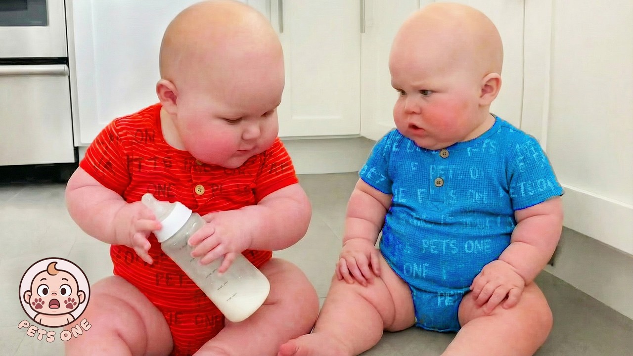 Funny Twin Babies Turn Daily Life into a Real Comedy Show - Funny Baby Videos