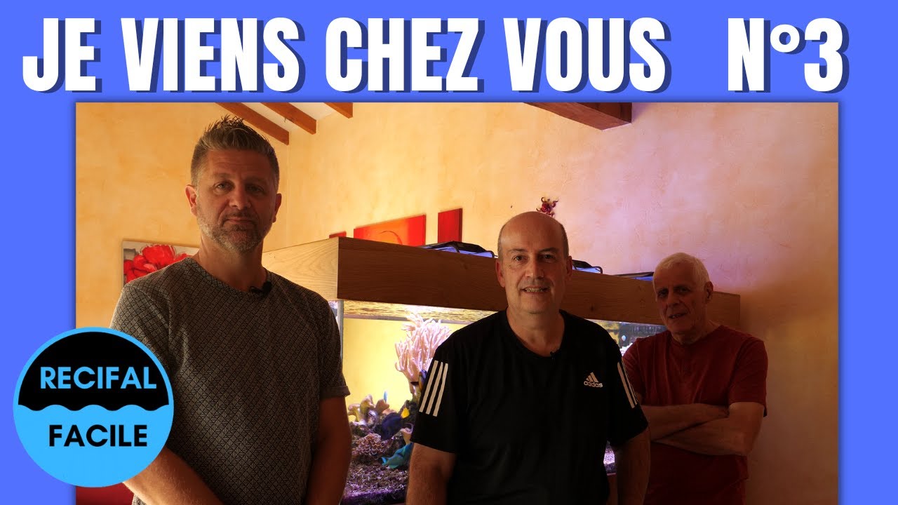 Je viens chez  Dominique, il nous présente son bac récifal.