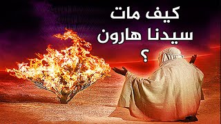 كيف مات نبي الله هارون واين دفن ؟؟ وما هي معجزاته ولماذا احبه بنو اسرائيل ؟؟