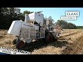 Claas Columbus • Weizendreschen | Agrarvolution Praxis