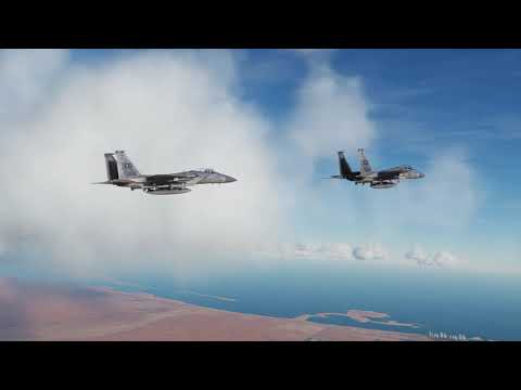 Faceless - DCS
