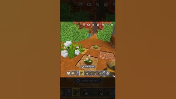 Bạn đã biết những điều này trong Mini World  #miniworld