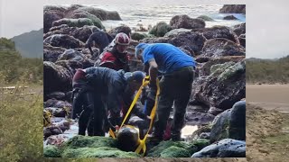 Archaeologists discover historic shipwreck on Oregon coast