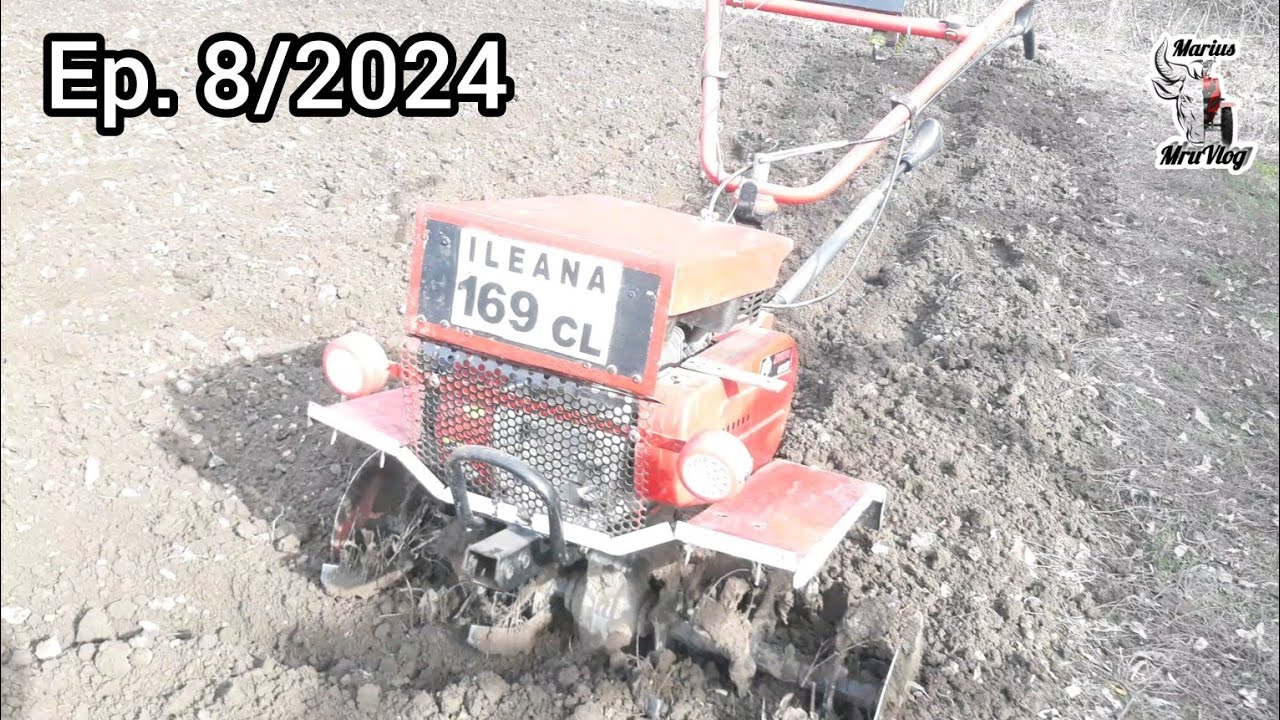 Motosapa Zimbru 6559 7CP  la Frezat Solul Pentru Arpagic ,START SEZON 2024