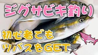 初心者船釣り【ジグサビキ#1】ツバス(イナダ)が釣れた 初心者船釣り【ジグサビキ#1】ツバス(イナダ)が釣れた