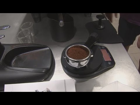 Programa de Capacitación para Baristas en Tampa