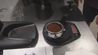 Barista training program in Tampa