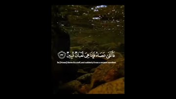 القارئ ياسر الدوسري #المصحف #الرحمن #لايك #اكسبلور