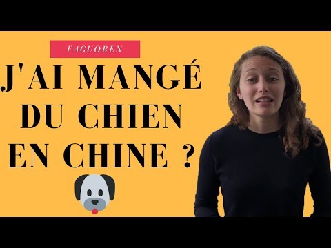 Vidéo: Qu'est-ce Qu'un 