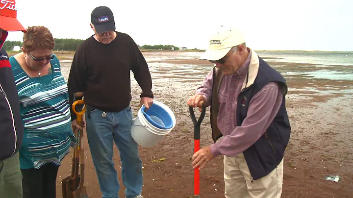P.E.I.'s Famous Shellfish: Digging for Dinner in C...