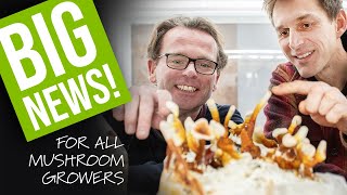 How to Master Mushroom Cultivation: Our Biggest Update Yet!
