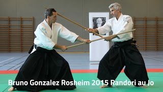 Bruno Gonzalez - Randori au Jo- Aikido Rosheim 2015