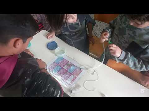 Building a Hydraulic Elevator | eTwinning Project: STEAM for Creative Minds 🚀