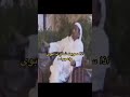 القادم مذهل  