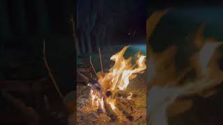sesi aç hem dinle hem izle mükemmel kamp serüveni #shortvideo#kafadinleme #nature #camping #wildlife