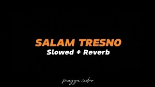 SALAM TRESNO -Slowed + Reverb (Full Lirik)