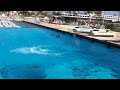 IMG_0022.MOV