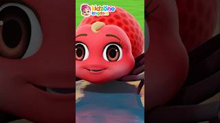 Itsy Bitsy Spider Nursery Rhymes & Kids Songs Kidzone Kingdom