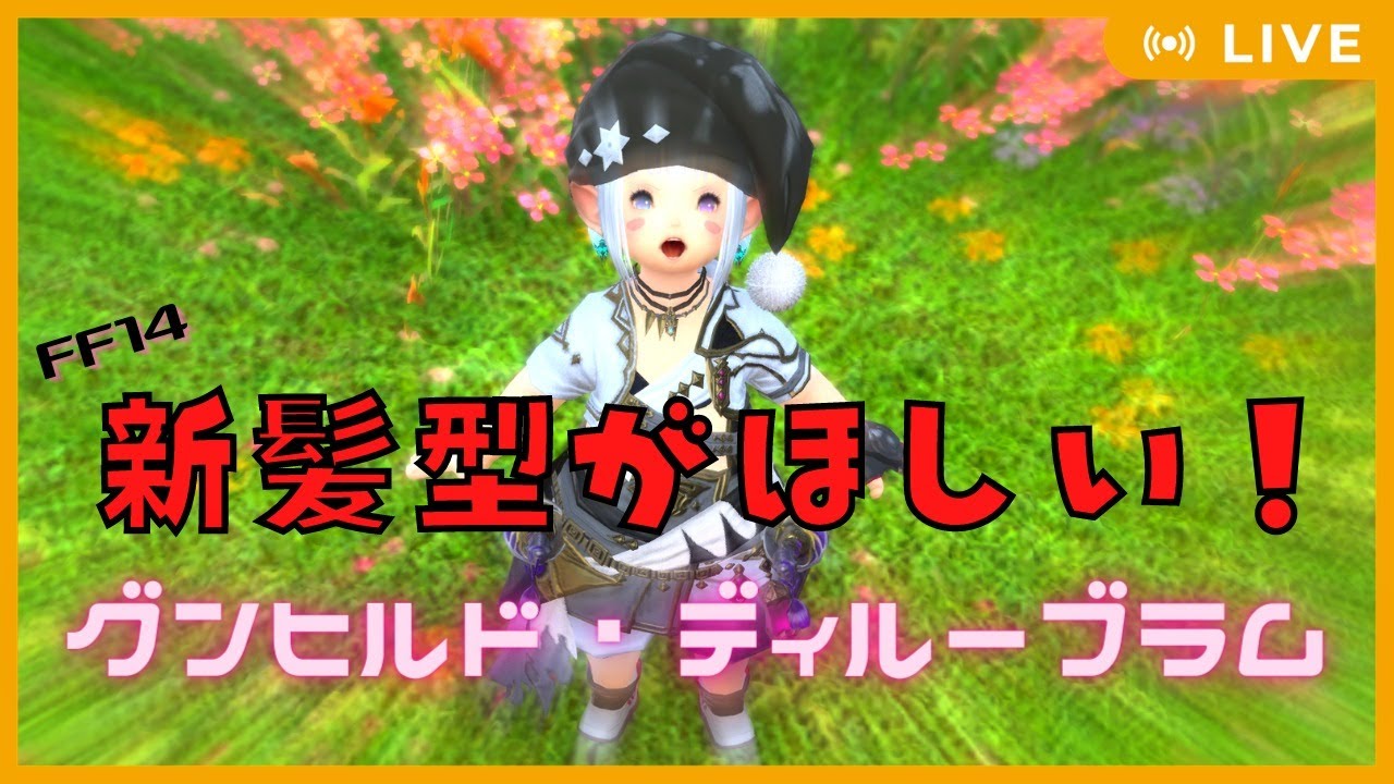 Ff14 髪型出るまで諦めない耐久グンヒルド ディルーブラム周回 4