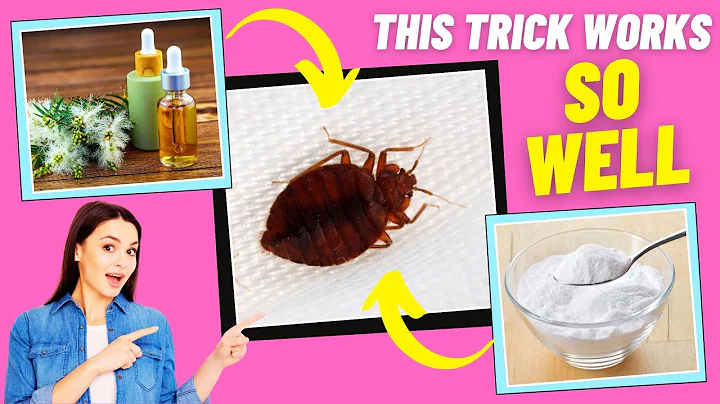 Eliminate Bed Bugs Fast with These Natural Methods – No Chemicals!