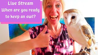 When Are You Ready To Keep An Owl?