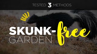 Skunk 🦨 Deter Method: Which Do They Dislike Most?