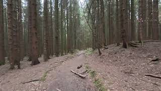 ]10 April] - Virtual Hike Through Woods and Fields | No Talking, Raw Nature Sounds
