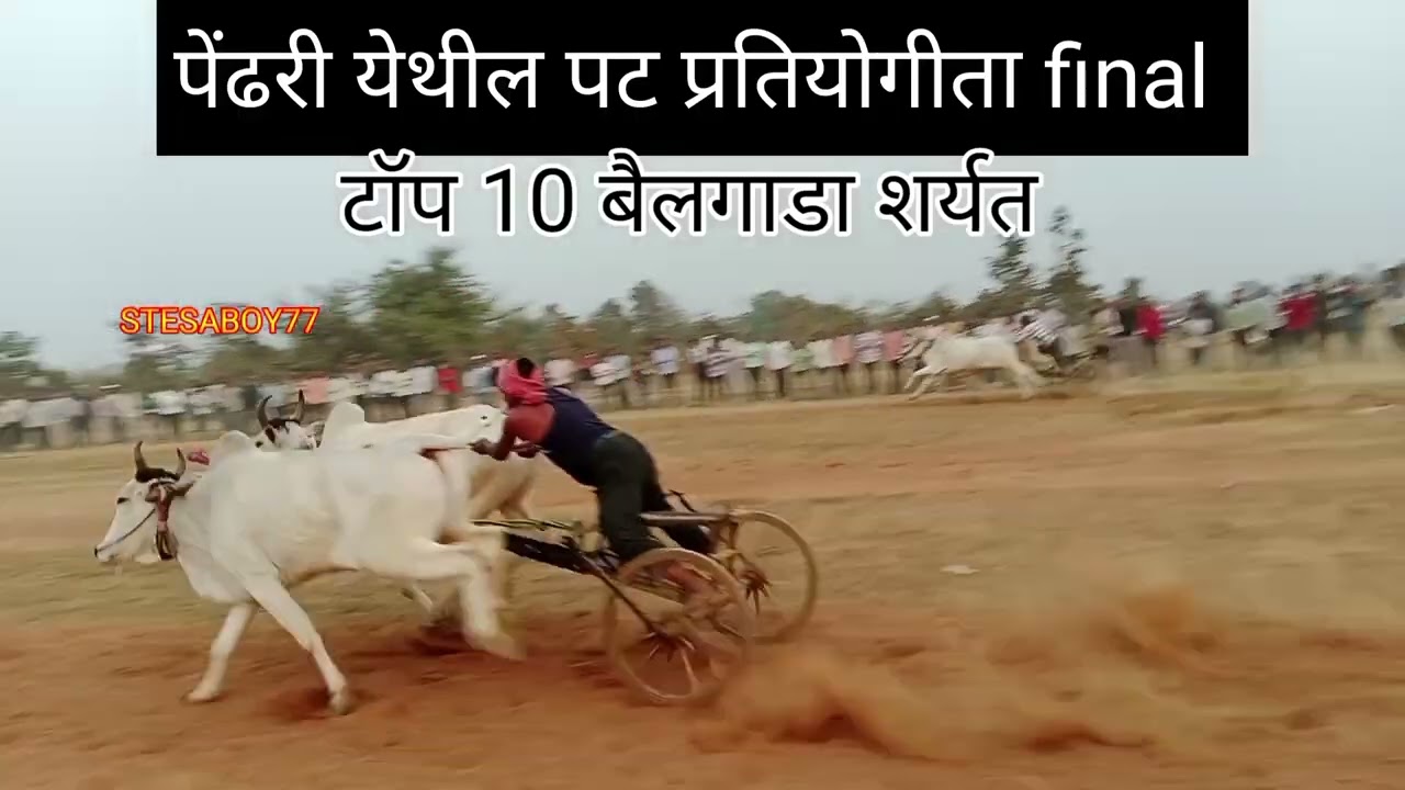 Pendhari mothi bailgada sharyat record Break 💯 #bailgadasharyat #bailgada #youtube#video 
