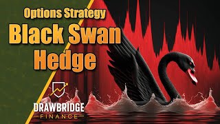 Black Swan Hedge Option Trade & Google Sheets BSH Tracker Summary