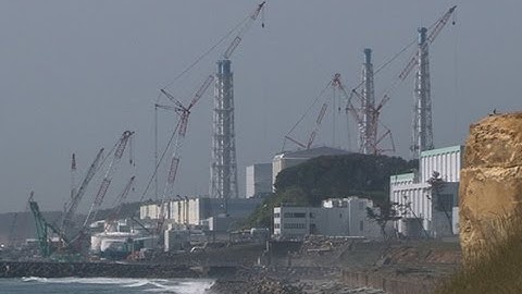 『福島　生きものの記録』シリーズ第3弾！映画『福島　生きものの記録　シリーズ3 ～拡散～』予告編