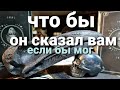 ЧТО ОН СКАЗАЛ БЫ ВАМ  ЕСЛИ БЫ МОГ. ТАРО