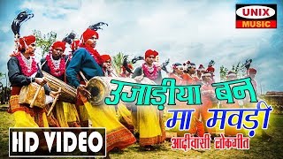 Ujadiya Ban Ma Mavadi !! Ananadilal Bhavel !! Kondwalyo Khela  !! Adivasi Timli Dance Video screenshot 2