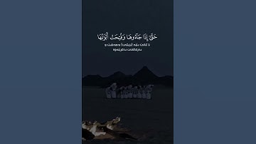 @سورة الزمر@سعد الغامدي