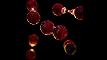 Connected Spheres (Cinema 4D - Patreon Tutorial Preview)