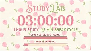 3 Hour Study Timer - Cute Aesthetic Countdown (1h Focus + 5m Break)