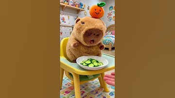 Capybara eating cucumber ice cream! #capybara #cute #summer #funny