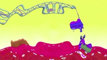 Smeshariki Intro In Center Effects