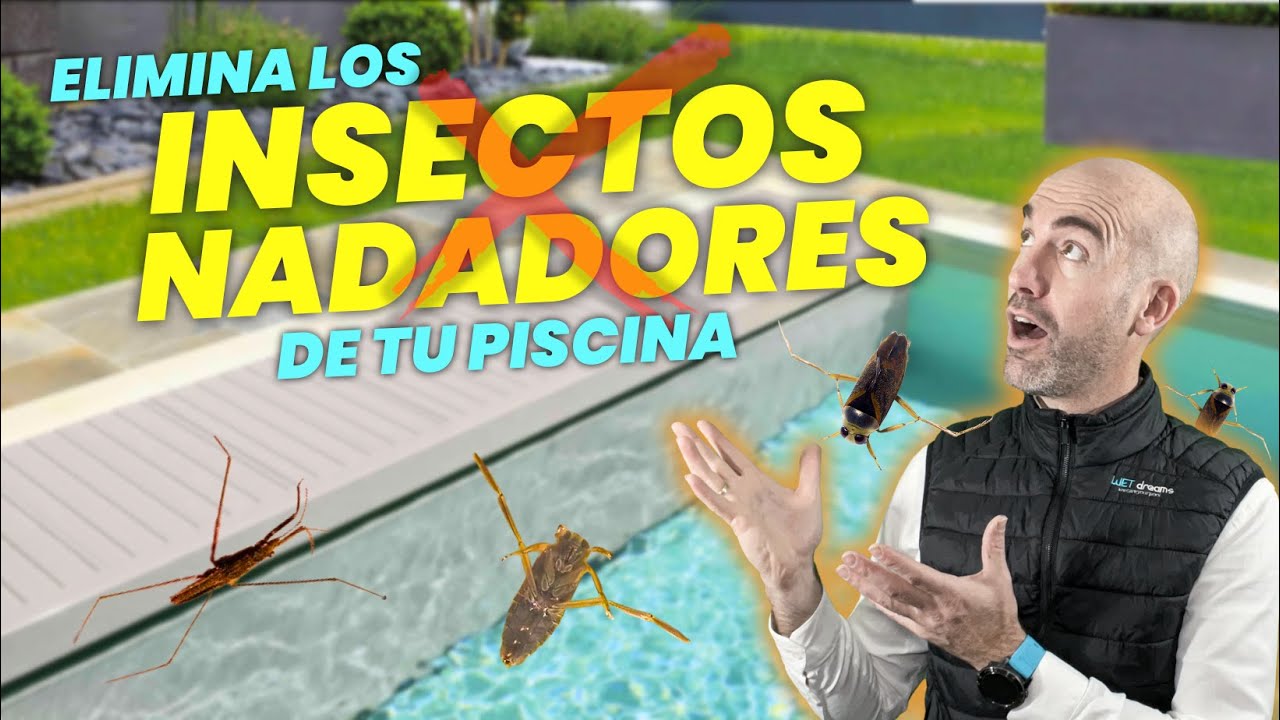 c-mo-eliminar-los-insectos-nadadores-de-mi-piscina-youtube