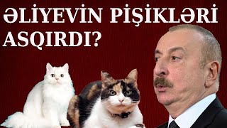 Güney Azərbaycan Türk Dünyası Deyil? Krımı Başa Düşdük.. Bir Heydər Filminə Nə Deyirsiz?
