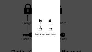 RSA ENCRYPTION |  5 Algorithms that a changed the World